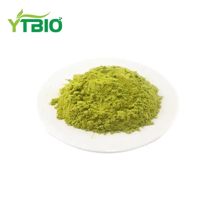Sophora Japonica Extract Powder